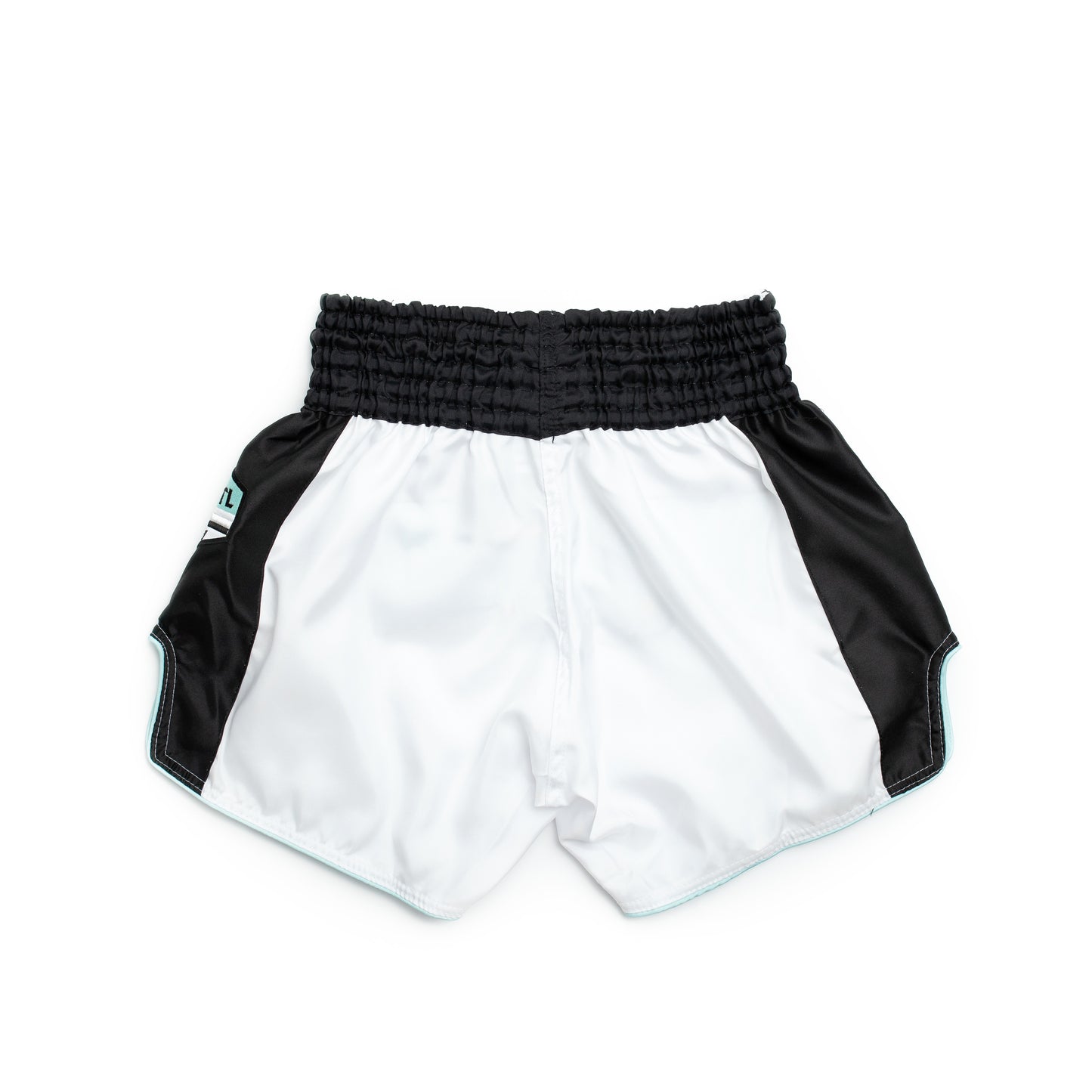 FS Ticket Aqua Muay Thai shorts